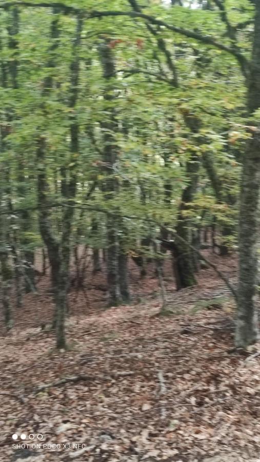 Montes De Lillo --Vut Le 625 Leilighet Puebla de Lillo Eksteriør bilde