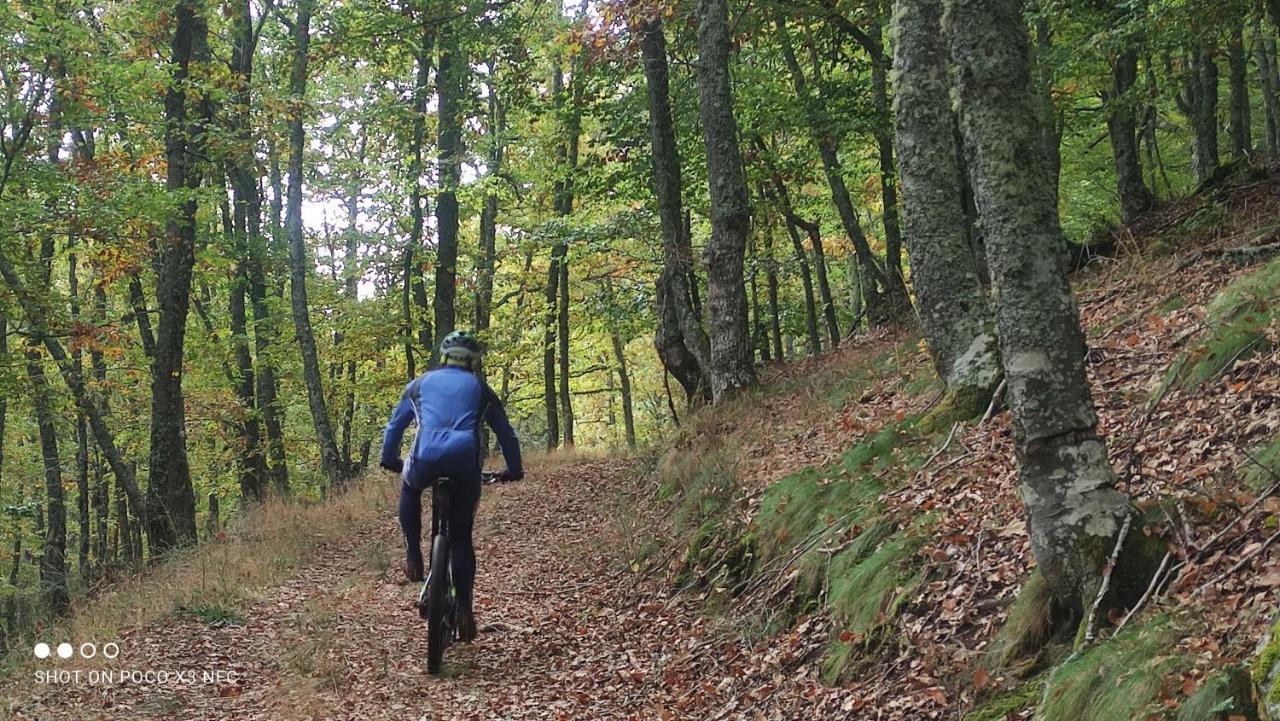 Montes De Lillo --Vut Le 625 Leilighet Puebla de Lillo Eksteriør bilde