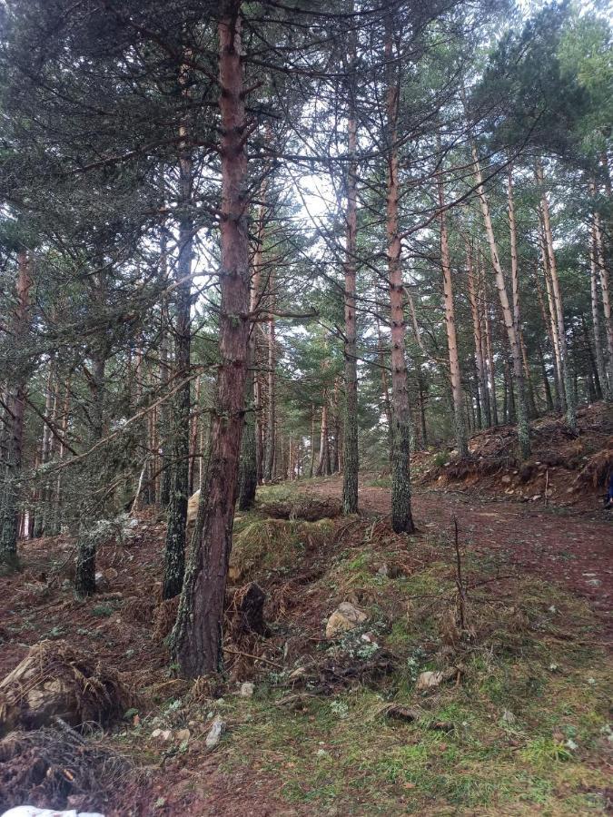 Montes De Lillo --Vut Le 625 Leilighet Puebla de Lillo Eksteriør bilde